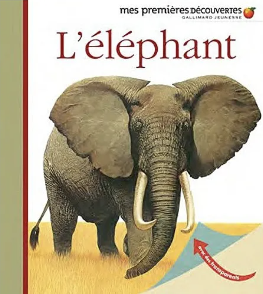 Cover of L'éléphant