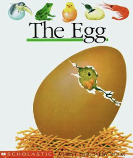Cover of L'œuf
