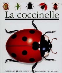 Cover of La coccinelle