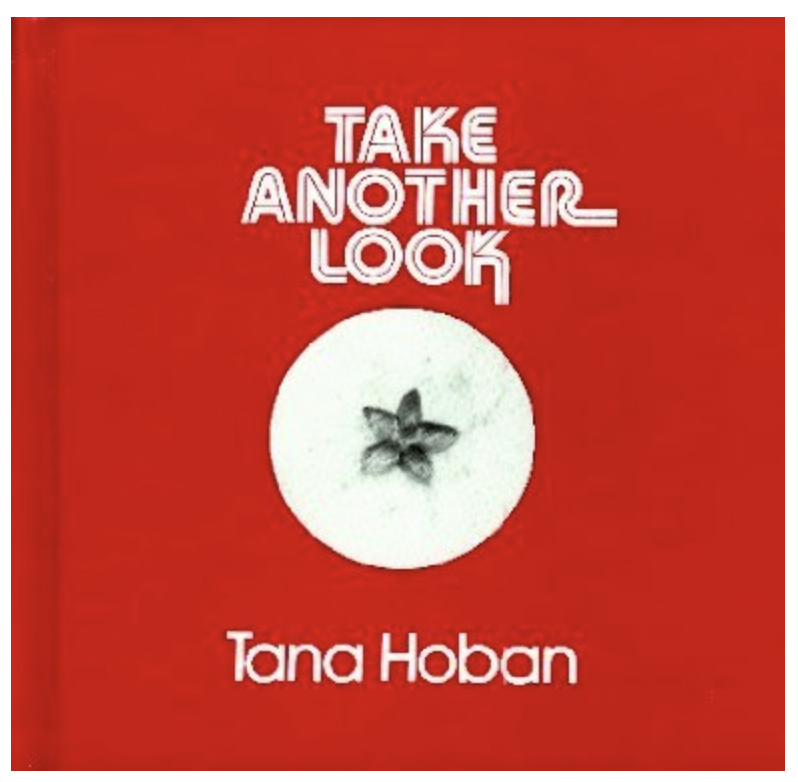 Cover of Take Another Look
